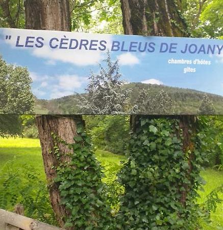 Cedres Bleus De Joany Chez Nathalie Viviez מראה חיצוני תמונה