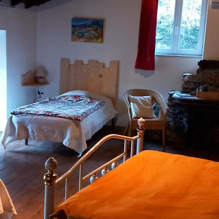 Cedres Bleus De Joany Chez Nathalie Viviez מראה חיצוני תמונה