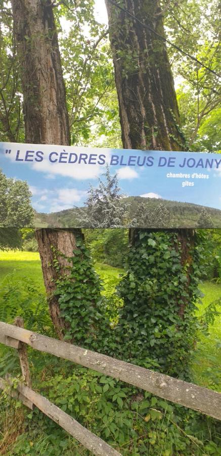 Cedres Bleus De Joany Chez Nathalie Viviez מראה חיצוני תמונה