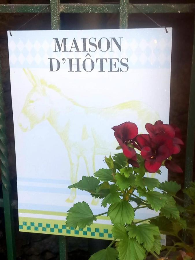 Cedres Bleus De Joany Chez Nathalie Viviez מראה חיצוני תמונה