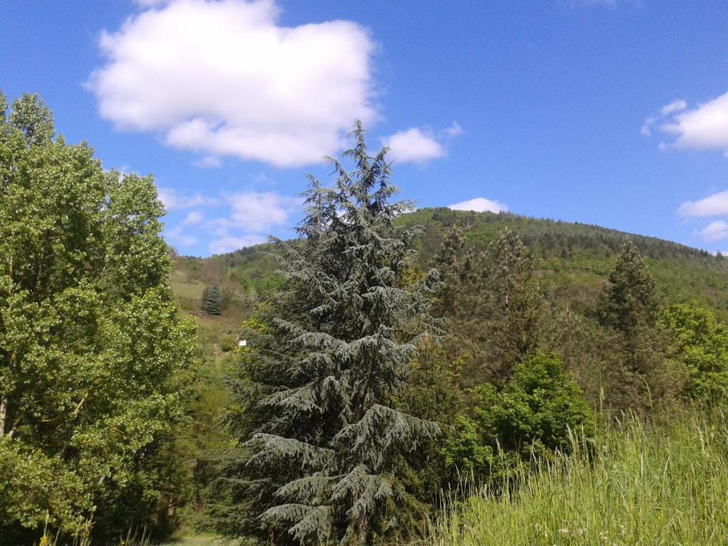 Cedres Bleus De Joany Chez Nathalie Viviez מראה חיצוני תמונה